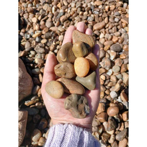 Seixo Coquinho Escuro N°1 2kg Pedra Natural Para Decoração Paisagismo