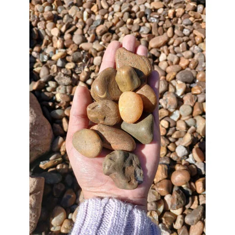 Seixo Coquinho Escuro N°1 2kg Pedra Natural Para Decoração Paisagismo