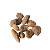 Seixo Coquinho Escuro N°1 2kg Pedra Natural Para Decoração Paisagismo