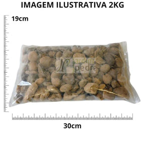 Seixo Coquinho Escuro N°1 2kg Pedra Natural Para Decoração Paisagismo