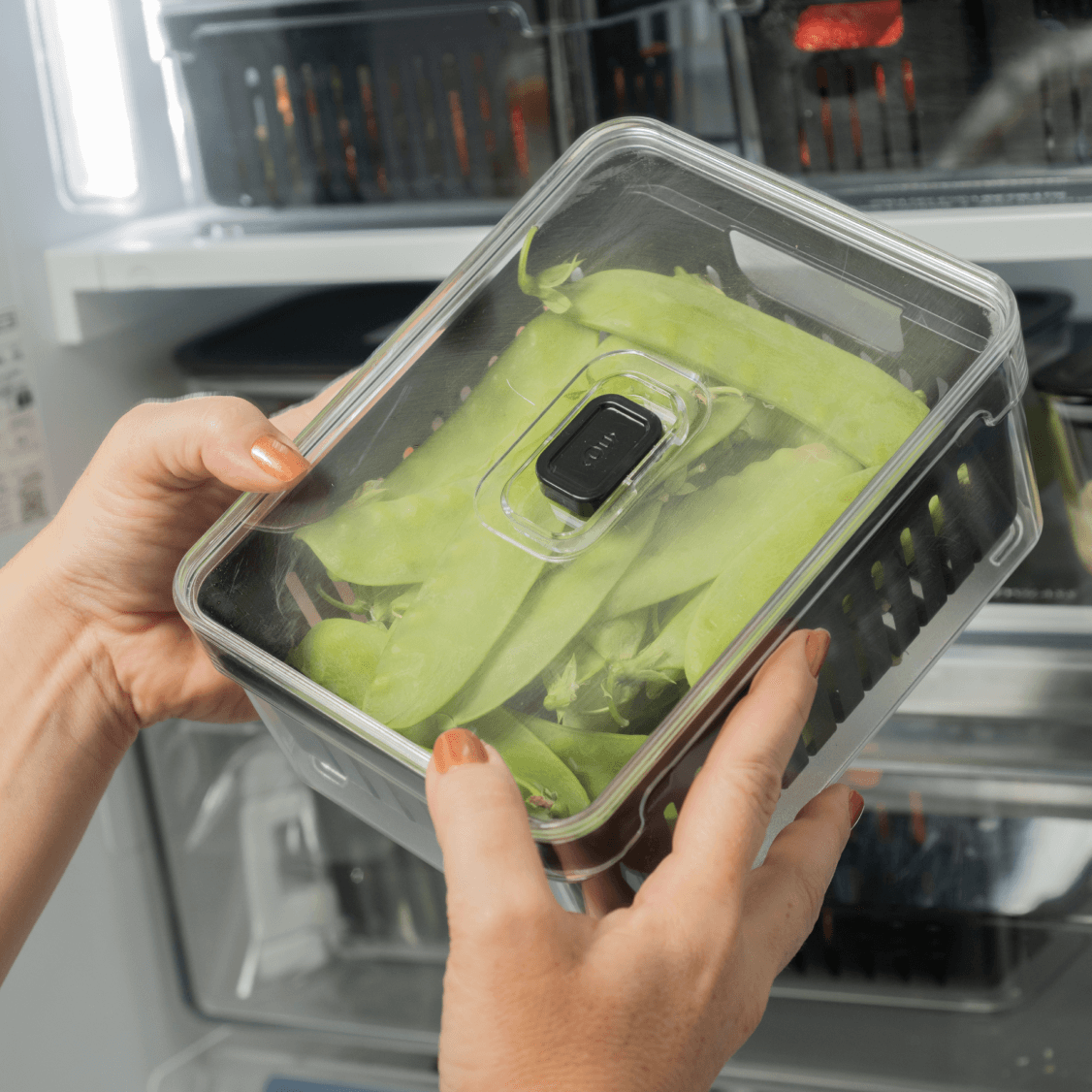 Organizador de Geladeira Clear Fresh com Cesto de Drenagem 2,2L