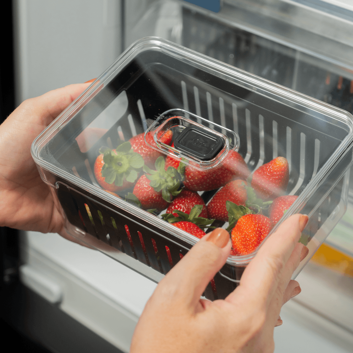 Organizador de Geladeira Clear Fresh com Cesto de Drenagem 2,2L